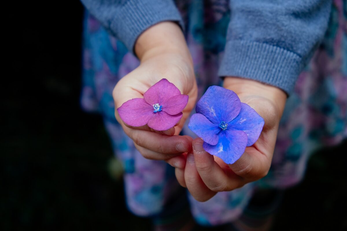 flowers