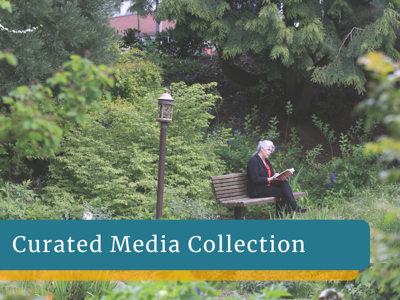 Media Collection (6)