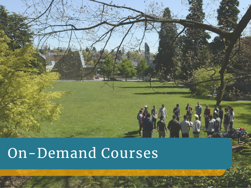 SP-Courses v2