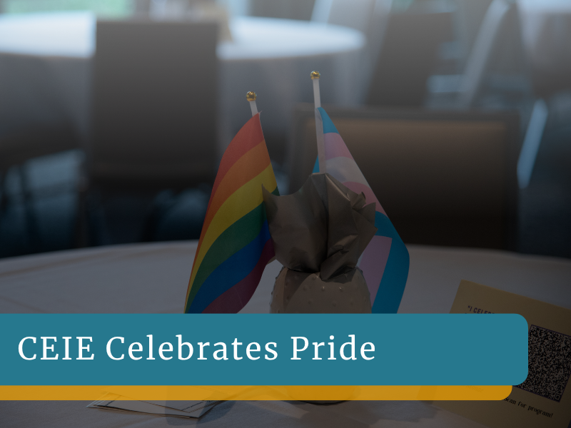 pride month graphic (3)